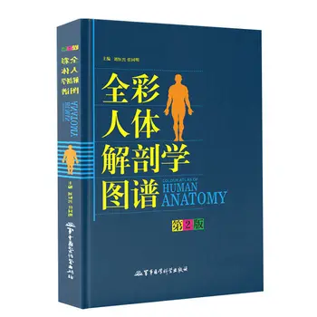Анатомия человека Полноцветная Китайско-Английская Диаграмма Логотипа Анатомия Медицины Стенография Struture Book 1шт Книги по Строению человеческого тела