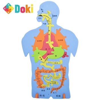 Игрушечная технология Doki Для создания внутренней модели головоломки, Эксперимент, Познавательная Большая пищеварительная система 