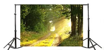 Фон для фотосъемки лесной пейзаж тропинка солнечный свет